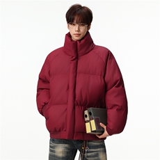 新款冬季羽绒立领PU皮棉服棉袄韩版宽松外套A436-2522-P80，男装棉衣，电商A436
