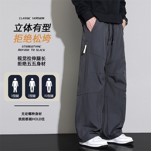 美式速干工装裤男秋季新款直筒休闲裤2025男款阔腿裤Z6910-P45图片