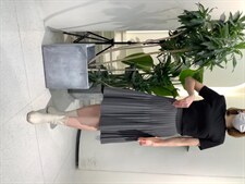 2206款，其它，贝纳拉