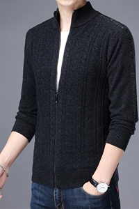 CM13025钱塘2020-2中年男士商务休闲开衫冬季厚款羊毛衫P175图片