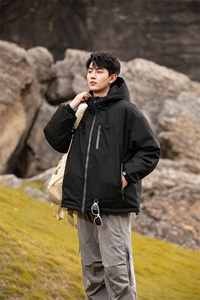 311B-1-YZ-9233-P195控339大码潮牌提花情侣百搭立领羽绒服图片