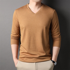 AG88152钱塘2020-3春季新款中年男士时尚休闲长袖T桖高品质P53，男装T恤，钱塘207-3