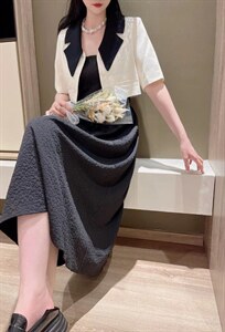 夏装新款连衣裙图片
