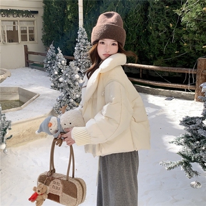 水衣源2319款短款大翻领加厚时尚羽绒服冬季保暖外套女图片