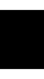 三色衬衣图片