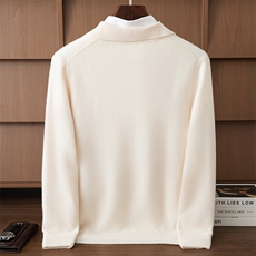 2025秋冬新款舒适百搭简约长袖羊毛衫，男装羊毛衫，伊雪娇羊绒