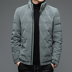 2023秋冬新款羽绒服男士立领商务休闲保暖潮流外套BSTN66538-P185，男装羽绒服，电商B212（原钱塘6029）
