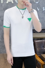 夏季新款中年男士短袖t恤薄款男装时尚休闲修身打底衫上衣服体恤，男装T恤，电商B212（原钱塘6029）