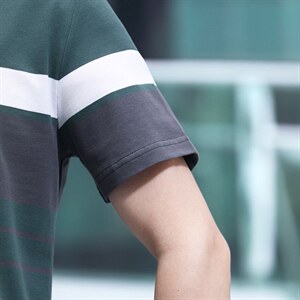 条纹短袖t恤男Polo衫2024新款翻领上衣服高端夏季装体桖P65图片