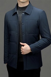 中年男新款冬季加厚棉服爸爸冬装短款棉衣外套 ZL18388-P175图片