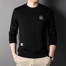 新款卫衣男潮流免烫男士长袖t恤春秋薄款刺绣圆领打底小衫，男装卫衣，电商B212（原钱塘6029）