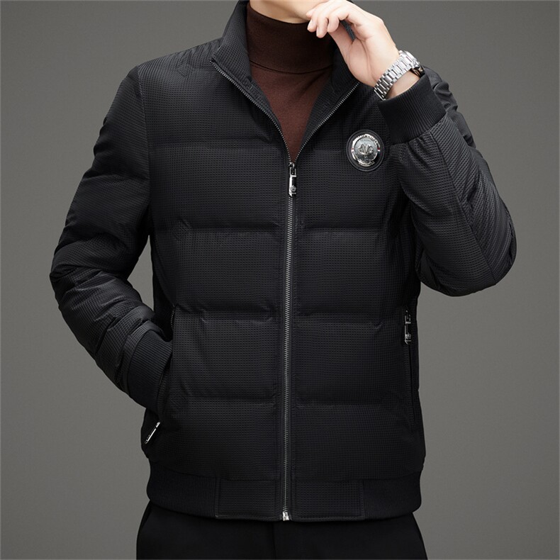 冬季白鸭绒加厚羽绒服短款中青年休闲立领保暖防寒潮服外套男装,男装羽绒服,钱塘6003（原4033）