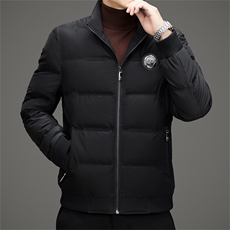 冬季白鸭绒加厚羽绒服短款中青年休闲立领保暖防寒潮服外套男装，男装羽绒服，钱塘6003（原4033）