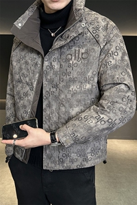 标50灰鸭绒冬季新款男装羽绒服轻薄款外套C317-Y7830-P195图片