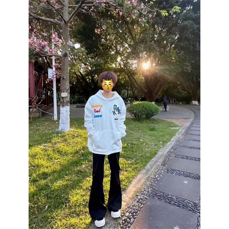 1506-1/W1721/P54美式连帽套头卫衣男秋冬重磅宽松版男女情侣,男装卫衣,星座1506-1