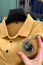 男装夏季新款保罗polo衫男短袖翻领美式商务带领半袖t恤男士薄款，男装Polo衫，电商B212（原钱塘6029）