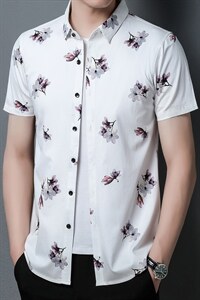 Z22023夏季青年2022男式薄款短袖衬衣修身休闲免烫透气衬衫P60图片