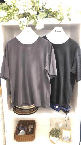 现货夏季T，女装，haru 笠原