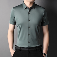 短袖衬衫男薄款翻领上衣服夏季中年男士休闲百搭半袖衬衣爸爸装，男装衬衫，电商B212（原钱塘6029）