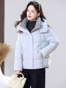 2025年冬季保暖休闲风羽绒服（现货图片