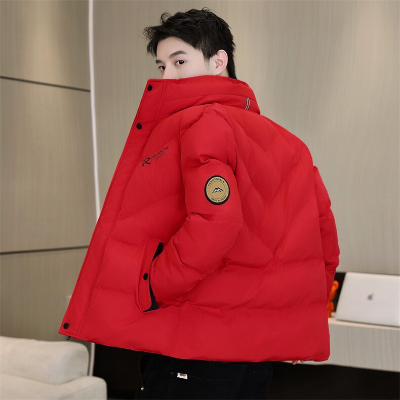 冬季加厚棉衣男休闲时尚青年立领棉衣百搭棉服外套M1801-P78,男装棉衣,星座310B-3