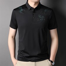 上衣翻领百搭夏季中年短袖2023年时尚宽松潮流T恤SFTT3095，男装T恤，钱塘6003（原4033）