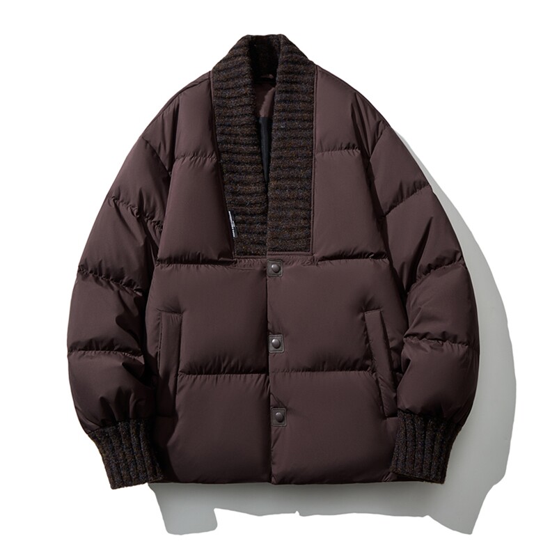 男士短款羽绒服白鸭绒 D213-7105-P360图片