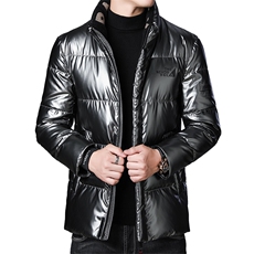 2023新款立领羽绒服中年常规款冬季休闲灰鸭绒外套SFT90378-P270，男装羽绒服，电商B212（原钱塘6029）