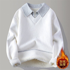 25761JR-特P60翻领毛衣男士新款冬季加绒加厚保暖秋冬针织打底衫，男装T恤，电商D310B