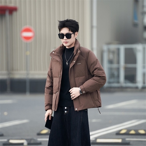 标50绒 轻薄立领羽绒服男冬季2025新款外套7900-M-3XL-P195图片