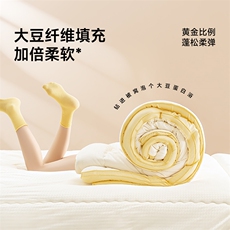 新款高精密提花黄油吐司被子被芯，被套/被芯，一起卖家纺