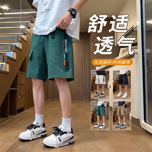 夏季男士潮牌休闲裤泡泡格薄款短裤男C208A-6701A-特P27图片