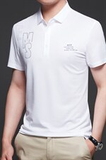 polo衫短袖男夏季冰丝免烫2023新款半袖上衣宽松翻领休闲t恤男装，男装T恤，电商B212（原钱塘6029）