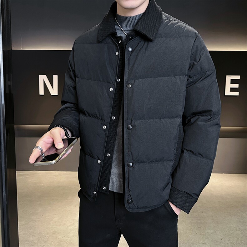 90新标假两件白鸭绒加厚保暖简约休闲羽绒服外套75511-P290,男装羽绒服,电商A413