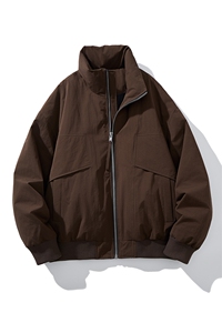 男士短款立领纯色羽绒服外套 D213-M304-P260图片