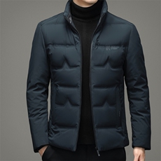 DZ6701钱塘2020-3冬季厚款时尚休闲立领简约中年男士羽绒服P185，男装羽绒服，钱塘207-3