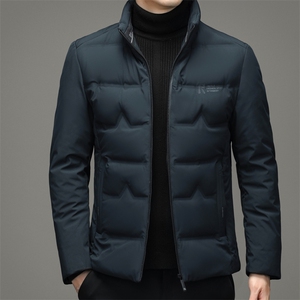 DZ6701钱塘2020-3冬季厚款时尚休闲立领简约中年男士羽绒服P185图片