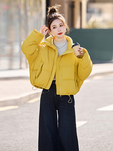 色羽绒服宽松短款外套2024冬装立领抽绳简约显白面包服女图片