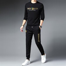 春秋季男士长袖t恤男中青年商务休闲运动套装新款男装两件套潮，男装休闲套装，电商B212（原钱塘6029）
