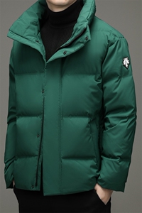 鹅绒羽绒服中青年男短款冬季休闲立领外套2023新款DFLDY5007-P290图片