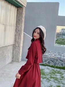 秋装连衣裙图片