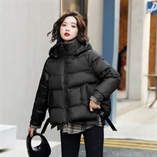 2024冬季新款时尚气质百搭立领保暖舒适格纹连帽短款羽绒服,女装羽绒服,卡杰菲