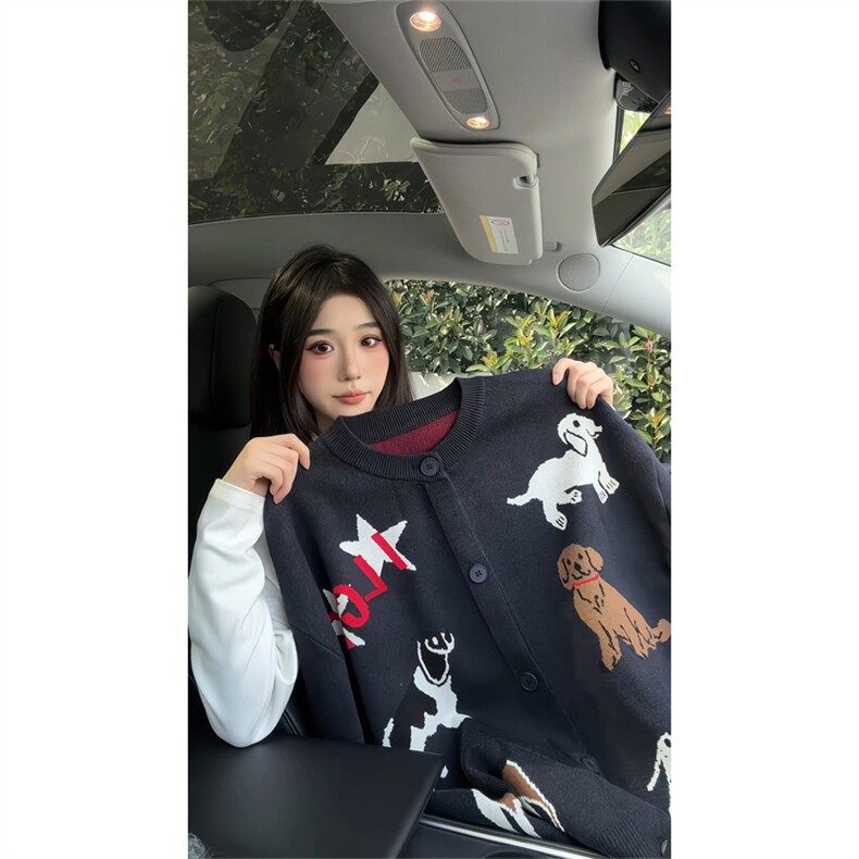 现货美式复古趣味可爱狗狗刺绣慵懒风针织开衫男宽松毛衣外套潮牌图片