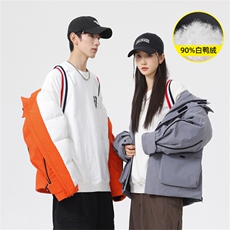 5972-P268新标90绒石墨烯工装情侣羽绒服外套，男装羽绒服，星座109-1