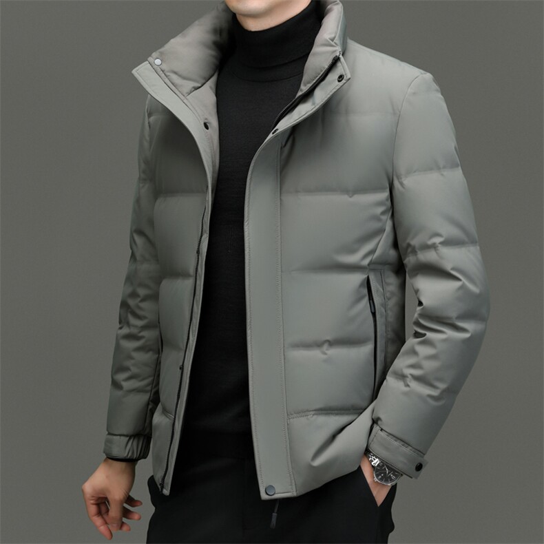 DF2392钱塘2020-2新款百搭简约翻领厚款中年男士羽绒服P223图片