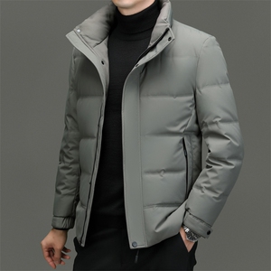 DF2392钱塘2020-2新款百搭简约翻领厚款中年男士羽绒服P223图片