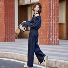 2025春季新款女装休闲时尚牛仔套装时髦减龄高级感初春两件套穿搭，女装套装/套裙，瑶迪依秀