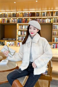 丹麦貂系列产品上市图片
