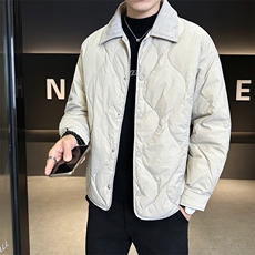 90新标2025冬季翻领简约休闲加厚保暖羽绒服外套X2519-P248，男装羽绒服，电商A413