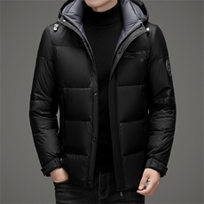 DAJ2309钱塘2020-2时尚新款百搭冬季厚款休闲中年男士羽绒服P250，男装羽绒服，钱塘207-2